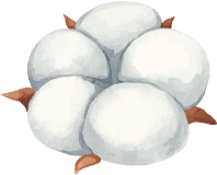 Cotton img